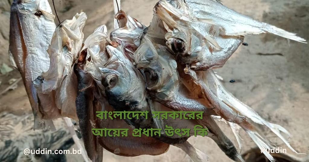 ই-কমার্স ব্যবসা
