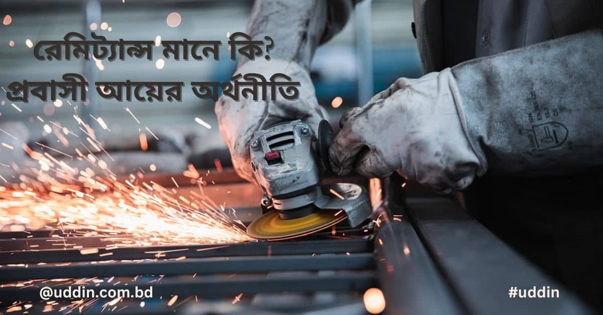 রেমিট্যান্স মানে কি