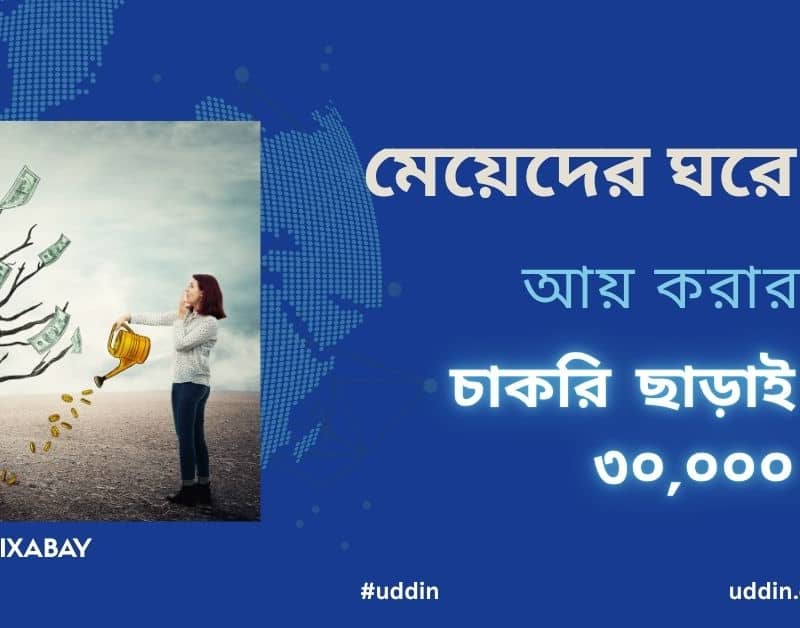 মেয়েদের ঘরে বসে আয় করার উপায়